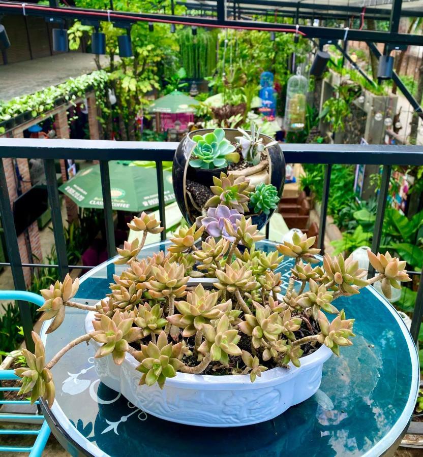 Jrai Homestay เปลกู ภายนอก รูปภาพ